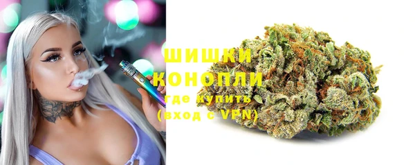 крисы Магадан