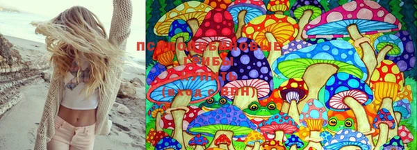 крисы Магадан