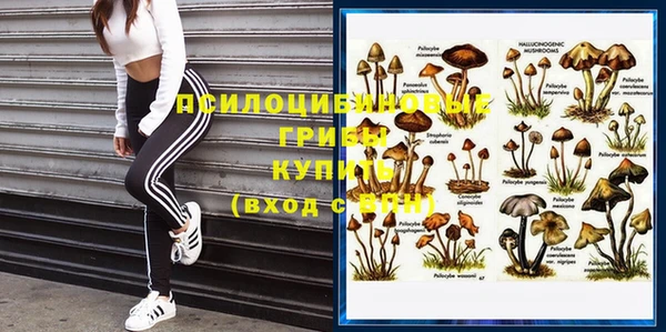 крисы Магадан
