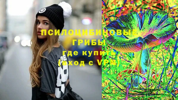 крисы Магадан