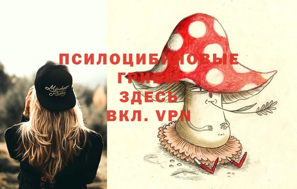 крисы Магадан